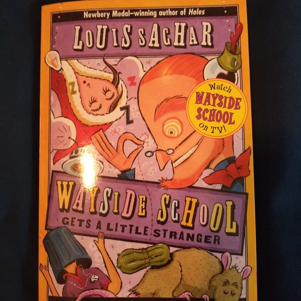 Wayside School book